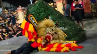 Atraksi pembarong terkuat Reog Ponorogo bikin merinding 