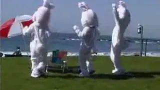 the Wacky Rabbit Dance Bonanza