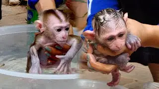 Bath Time!! Sweet Mom Take Bath For Precious Baby Axi And Axel Gentle Massage With Shampoo