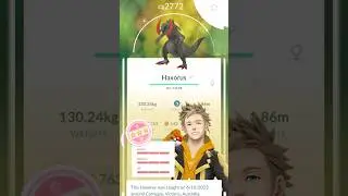 Evolving SHUNDO Axew to Haxorus in Pokemon Go | Shiny 100IV Haxorus | Axew Community Day #pokemongo