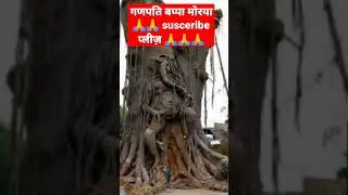 गणपति बप्पा मोरया // #shorts #shortsvideo #short