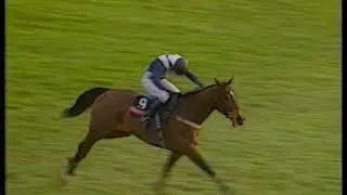 1996 Hennessy Cognac Gold Cup Coombe Hill + Replay & Enclosure