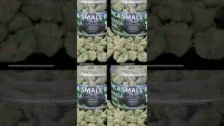 The Future of Cannabis: How THCA is Changing the Culture