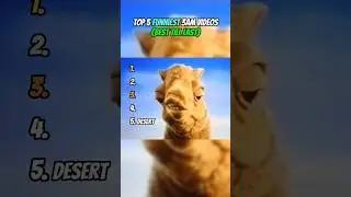 Top 5 FUNNIEST 3AM Videos😂