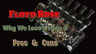 Pros & Cons Of The Floyd Rose Locking Tremolo - Why Guitar Players  Love or Hate Them