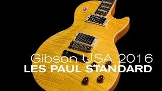 Gibson 2016 Les Paul Standard Overview  &bull;  Wildwood Guitars