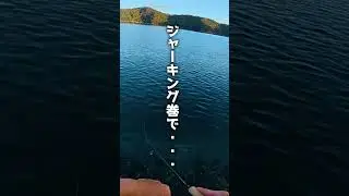 エギングロッドで投げられるセットアッパーをご存知ですか？ #釣り #ショアジギング #エギング #セットアッパー #daiwa