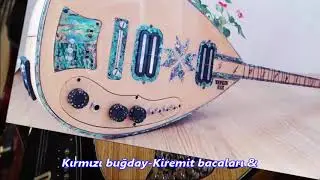 Kırmızı buğday Kiremit bacaları İsa Başağa Elektro bağlama