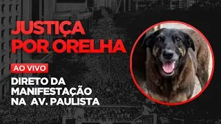 AO VIVO | TRANSMISSÃO DA MANIFESTAÇÃO POR JUSTIÇA PELO CÃO ORELHA | DIRETO DA AVENIDA PAULISTA