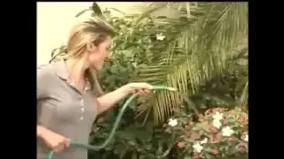 EZ Jet  watercannon