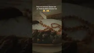 vairal #short# whatsapp letest status # islamic istetus and tons #feme#motivation