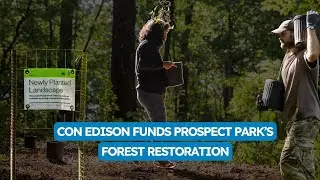 Keeping Brooklyn&rsquo;s forest alive with Con Edison&rsquo;s support
