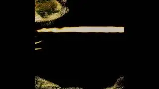 Yamaneko - Afterglow (Full Album)