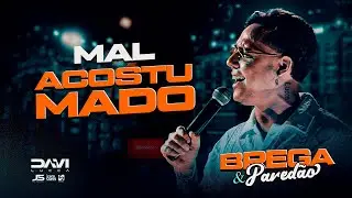 MAL ACOSTUMADO - Davi Lucca - Brega&Paredão (CLIPE OFICIAL)