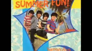 The Barracudas - Summer Fun