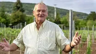 Petrányi Pince