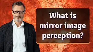 What is mirror image perception?