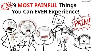 9 Most Painful Thing a Human Can Experience | Sketchy Logic Explains