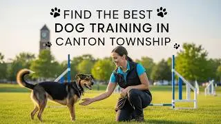 Find the Best Dog Training in Canton Township Michigan