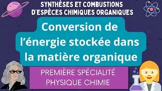 Conversion de l’énergie stockée dans la matière organique / Première spécialité Physique Chimie
