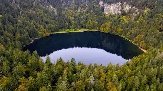 Lake Feldsee (Feldberg) in the Black Forest | Aerial (4K)