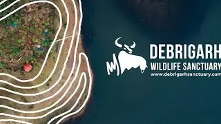 First Time In Odisha STARGAZING || Debrigarh Wildlife Sanctuary