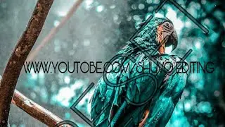 BEST  (2) LIGHTROOM  PRESET🔥 . FREE DOWNLOAD 2020. TUTORIAL BANGLA🔥