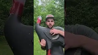 🎯 &ldquo;Turkey Target Shooter Review 🦃 | Archery Must-Have?&rdquo;
