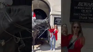 Hoofing Around: A Day of Regal Horse Antics and Tourist Charm! #Shorts