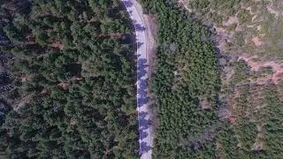 drone flight forest and road / content creator / creative commons / free video / free copyright