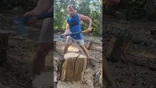 Fiskars x27 splitting oak. I like it so far #axe #fiskars #firewood #splittingwood #farm #farming