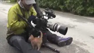 Viral Videos 2015 Compilation [July Week #1]