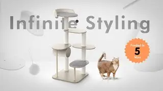 Now on Kickstarter: Petlibro Infinity Diy: A Catstomizable Modular Cat Tree