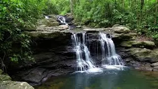🔴 LIVE Sleep Instantly with Waterfall Sounds 🌙 | 10 Hours ASMR Nature Noise for Deep Rest