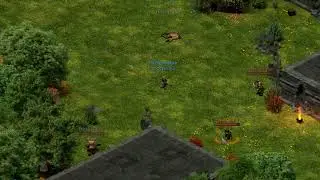 Dreadmyst Cleric first field pvp