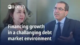 Financing growth in a challenging debt market environment