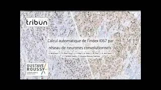 Calcul automatique de l'index KI67 par r&eacute;seau de neurones convolutionnels