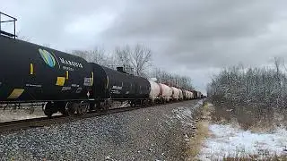 CN SB Mixed Manifest Freight Train, w/ Herzog Equipment on the rear of the train!!