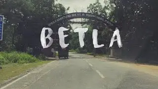 Betla National Park | Palamu Tiger Reserve | Palamu Fort  Cinematic Video | Jharkhand Tourism