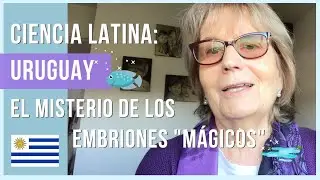 Peces que caen del cielo? Embriones fant&aacute;sticos con Nibia Berois | Ciencia Latina | Mel Nuesch