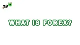 WHAT IS FOREX TRADING? -  Covered by 16year old FX trader!