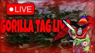 🔵🟢🔴Gorilla Tag live with viewers🔴🟢🔵