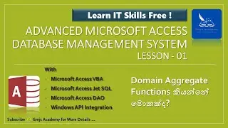 Advanced Access - Lesson 01- Domain Aggregate Functions