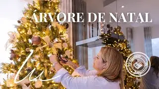 MONTE UMA ARVORE DE NATAL COM BASTANTE SIGNIFICADO PARA A SUA FAMILIA | NATAL | LU MARINHO