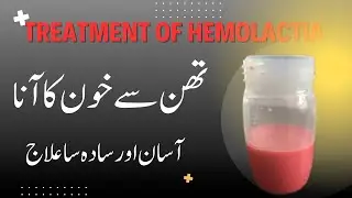Blood Mixed with Milk in Cow/Buffalo | Hemolactia | Treatment Explained | Veterinary Education