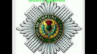 Cap badges of the household division