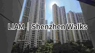Why has China's economy stagnated?  LIAM｜Shenzhen Walks