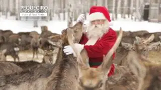 ¡Feliz Navidad! Clínica dental en Barrio Salamanca Madrid - 91 577 39 44 Clínica Ciro