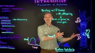 Overview of Natural Selection and Biological Fitness