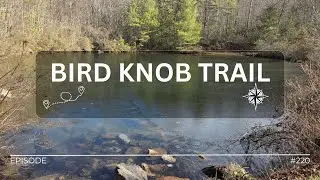 Hike#220 &ndash; Bird Knob Trail at George Washington and Jefferson National Forests